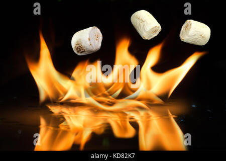 De délicieuses guimauves grillées blanc moelleux devant un feu. Banque D'Images