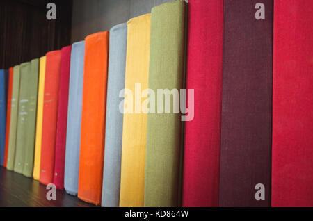 Livres en couvre coloré dans une rangée stand sur plateau en bois Banque D'Images