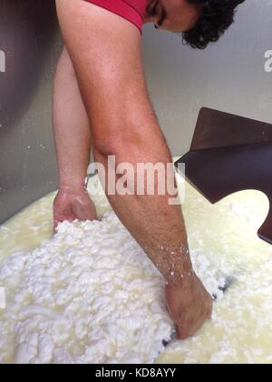 La fabrication du fromage dans une ferme rustique, caillé de tamisage Banque D'Images