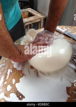 La fabrication du fromage dans une ferme rustique, mains shapping en boules de mozzarella Banque D'Images