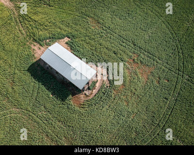 Vue aérienne d'une grange dans un champ de canola, Victoria, Australie Banque D'Images