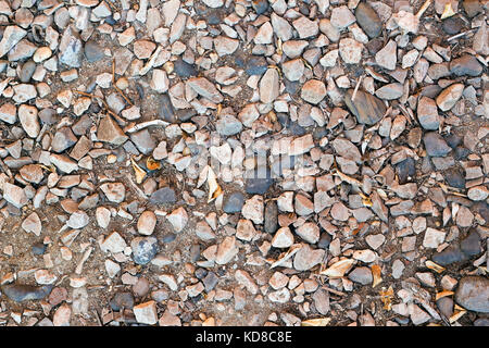 Texture de sol, sol rocailleux avec des pierres Banque D'Images