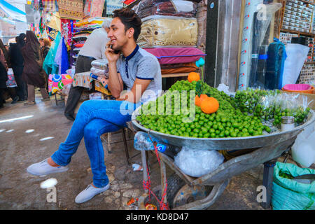 La province du Fars, Shiraz, Iran - 19 avril, 2017 : un jeune négociant de prunes vertes aigre parle au téléphone dans l'attente d'acheteurs. Banque D'Images