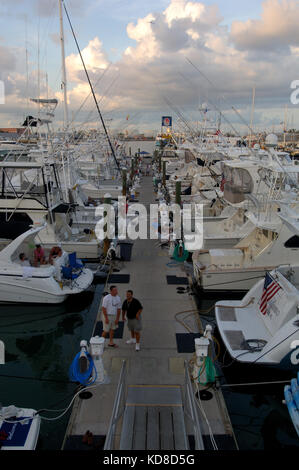 La pêche sportive et la location de bateaux dans le port de Key West en Floride Banque D'Images