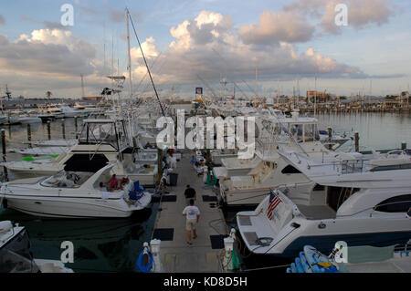 La pêche sportive et la location de bateaux dans le port de Key West en Floride Banque D'Images