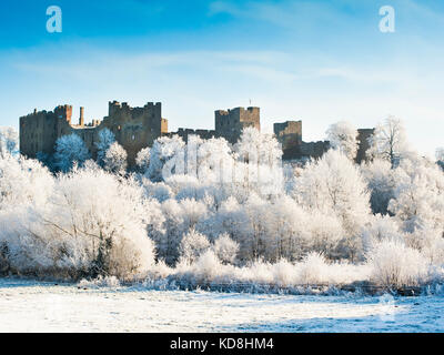 Ludlow castle entouré de givre en hiver, Shropshire, England, UK Banque D'Images