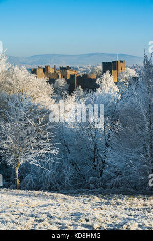 Ludlow castle entouré de givre en hiver, Shropshire, England, UK Banque D'Images