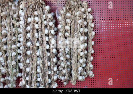 Les tresses d'ail frais accroché sur un mur à sécher. Banque D'Images