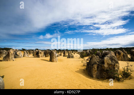 Explorer le phénomène naturel Le Parc National de Nambung à Pinnacles Banque D'Images