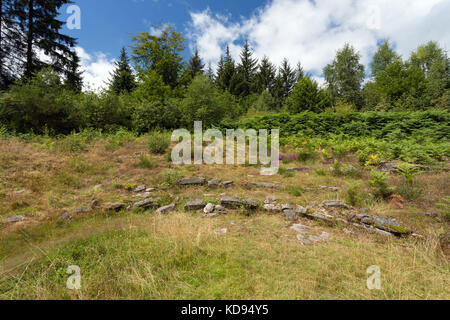 Saint GOUSSAUD, PUY DE JOUER, FRANCE - 24 JUIN 2017 : site archéologique d'un ancien théâtre gallo-romain au milieu de la forêt. Banque D'Images