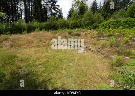 Saint GOUSSAUD, PUY DE JOUER, FRANCE - 24 JUIN 2017 : site archéologique d'un ancien théâtre gallo-romain au milieu de la forêt. Banque D'Images