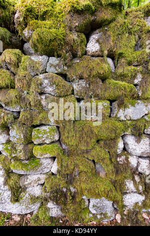 SAINT GOUSSAUD, PUY-DE-les-Moulineaux, France - 24 juin 2017 : un site archéologique d'une ancienne cité gallo-romaine mur au milieu de la forêt. Banque D'Images