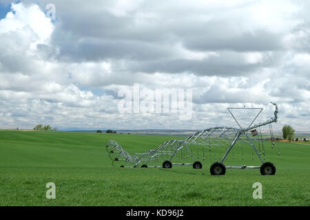 L'irrigation à pivot central dans les champs de l'Idaho Banque D'Images