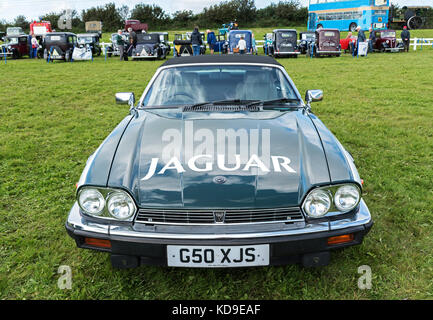 Une jaguar xjs v12 à un rallye de voitures classiques à Cornwall, Angleterre, Royaume-Uni. Banque D'Images