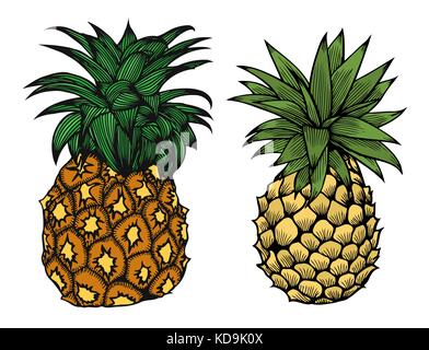 Deux fruits ananas cartoon vector illustration pour les enfants. Illustration de Vecteur