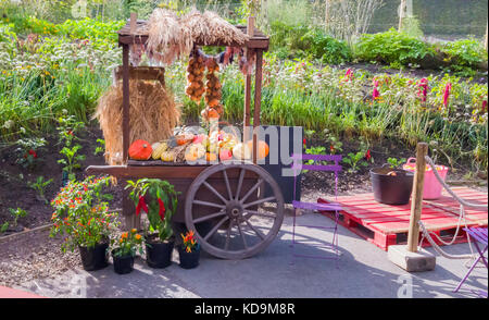 Brouette avec des légumes dans le jardin. Banque D'Images