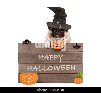 Cute pug dog wearing witch hat avec planche en bois et happy Halloween, isolé sur fond blanc Banque D'Images