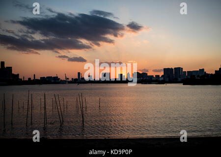 Vue d'un beau coucher de soleil derrière les toits de Tokyo. Photo prise de l'île d'Odaiba, au Japon. Banque D'Images