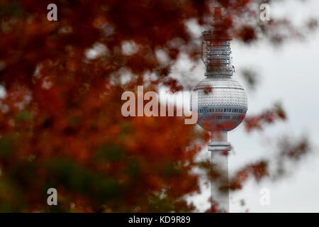 Berlin, Allemagne. 11 octobre 2017. Des feuilles colorées pour la saison automnale peuvent être aperçues dans le centre-ville de Berlin, Allemagne, le 11 octobre 2017. Crédit : Maurizio Gambarini/dpa-Zentralbild/ZB/dpa/Alamy Live News Banque D'Images