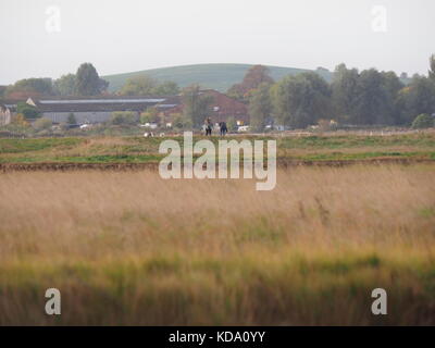 Sheerness, Kent, UK. Oct 12, 2017. Météo France : dog walkers profitez d'un début de journée ensoleillée à Sheerness. Credit : James Bell/Alamy Live News Banque D'Images