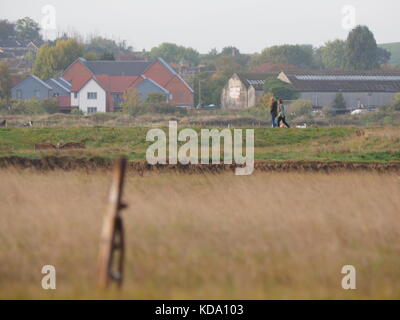 Sheerness, Kent, UK. Oct 12, 2017. Météo France : dog walkers profitez d'un début de journée ensoleillée à Sheerness. Credit : James Bell/Alamy Live News Banque D'Images