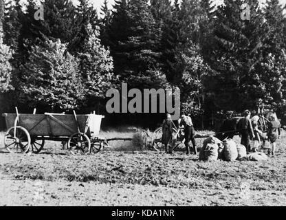 Sudetenland 1947. photo : citoyens tchécoslovaques qui s'installent dans les terres agricoles vide planter des pommes de terre. ctk photo vintage Banque D'Images