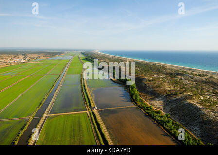 Vue aérienne de rizières. Comporta, Alentejo, Portugal Banque D'Images