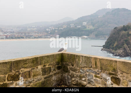 mouette sur le mur avec fond paysage . Saint-Sébastien, Espagne Banque D'Images