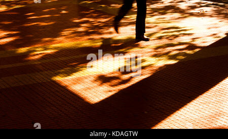 Ombres floues et silhouettes d'une personne qui marche dans le motion blur et arbres en automne coucher de soleil sur le trottoir de la rue de la ville Banque D'Images