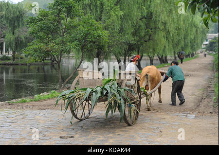 12.08.2012, Wonsan, la Corée du Nord, en Asie - deux paysans nord-coréens sont vu debout à côté d'une charrette à l'chonsam coopérative agricole près de Wonsan. Banque D'Images