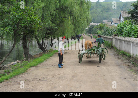 12.08.2012, Wonsan, la Corée du Nord, en Asie - deux paysans nord-coréens sont vu debout à côté d'une charrette à l'chonsam coopérative agricole près de Wonsan. Banque D'Images