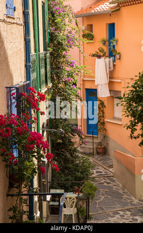 Feuilles en train de sécher dehors dans une rue étroite dans le village catalan de Collioure Banque D'Images