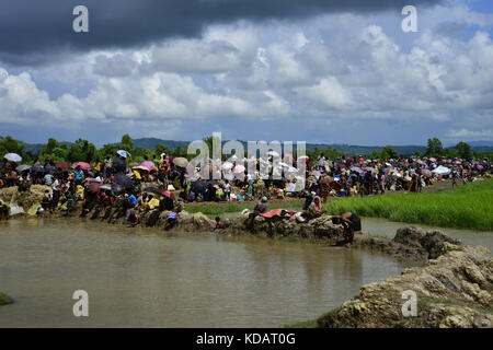 Des centaines de Rohingyas personnes traversant la frontière du Bangladesh en fuyant de Buchidong au Myanmar après avoir traversé la rivière dans Taknuf Nuf, Bangladesh, sur Banque D'Images