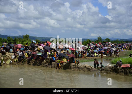 Des centaines de Rohingyas personnes traversant la frontière du Bangladesh en fuyant de Buchidong au Myanmar après avoir traversé la rivière dans Taknuf Nuf, Bangladesh, sur Banque D'Images