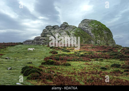 Haytor, Dartmoor, Devon, Angleterre, Royaume-Uni Banque D'Images