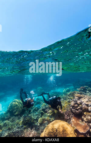 Split shot de plongeurs à la découverte des formations de corail d'Agincourt Reef, Great Barrier Reef Marine Park, Port Douglas, Queensland, Australie Banque D'Images