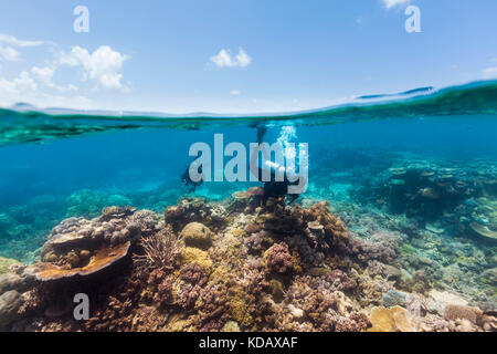 Split shot de plongeurs à la découverte des formations de corail d'Agincourt Reef, Great Barrier Reef Marine Park, Port Douglas, Queensland, Australie Banque D'Images