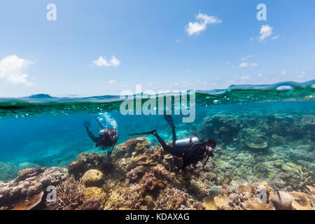 Split shot de plongeurs à la découverte des formations de corail d'Agincourt Reef, Great Barrier Reef Marine Park, Port Douglas, Queensland, Australie Banque D'Images