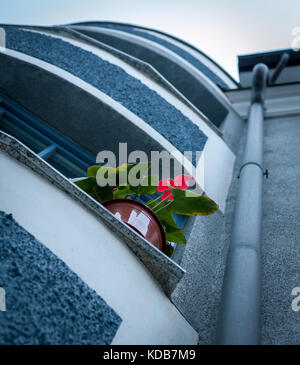 Fleur rouge sur le rebord d'une maison bleue en vue d'en bas Banque D'Images