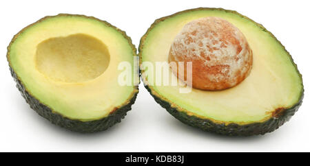 Avocat frais sur fond blanc Banque D'Images