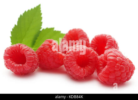 Framboise fraîche avec des feuilles vertes sur fond blanc Banque D'Images