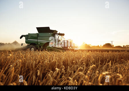 Combiner la récolte sur un champ de blé Banque D'Images