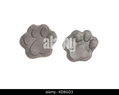 Animal empreinte isolé sur fond blanc Banque D'Images