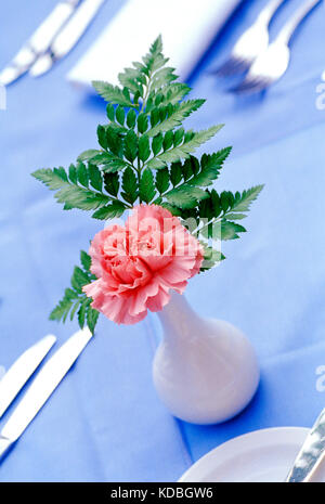 La vie encore. Oeillet rose dans un vase sur une table à manger. Banque D'Images