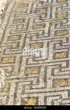 Mosaïque dans la maison en ruines, ancienne ville romaine de Volubilis. Le Maroc. L'Afrique du Nord Banque D'Images