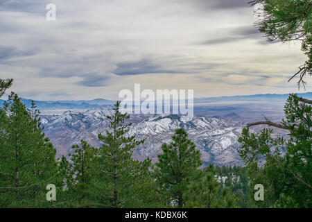 La vue depuis le pic des coccinelles sur le mont Graham, en regardant vers le sud en direction de Wilcox, Arizona. Banque D'Images