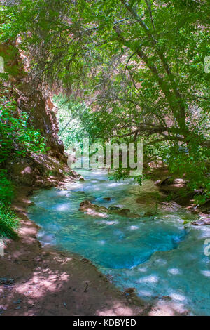 Rivière qui coule près de l'havasu falls trail dans la réserve indienne de havaspai. situé dans le grand canyon. Banque D'Images