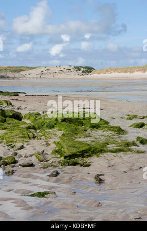 Wanna beach south west Kerry Irlande Banque D'Images