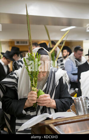 Un homme juif religieux priant sur Souccot avec un loulav et esrog. Dans une synagogue à Brooklyn, New York. Banque D'Images