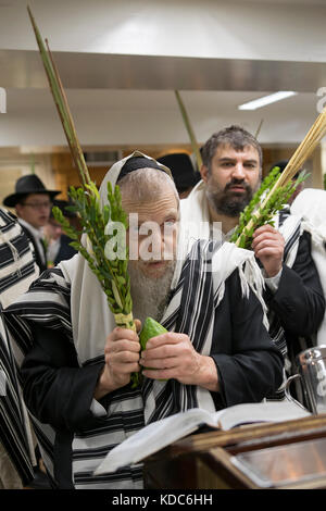 Un homme juif religieux priant sur Souccot avec et esrog et loulav. Dans une synagogue à Brooklyn, New York. Banque D'Images